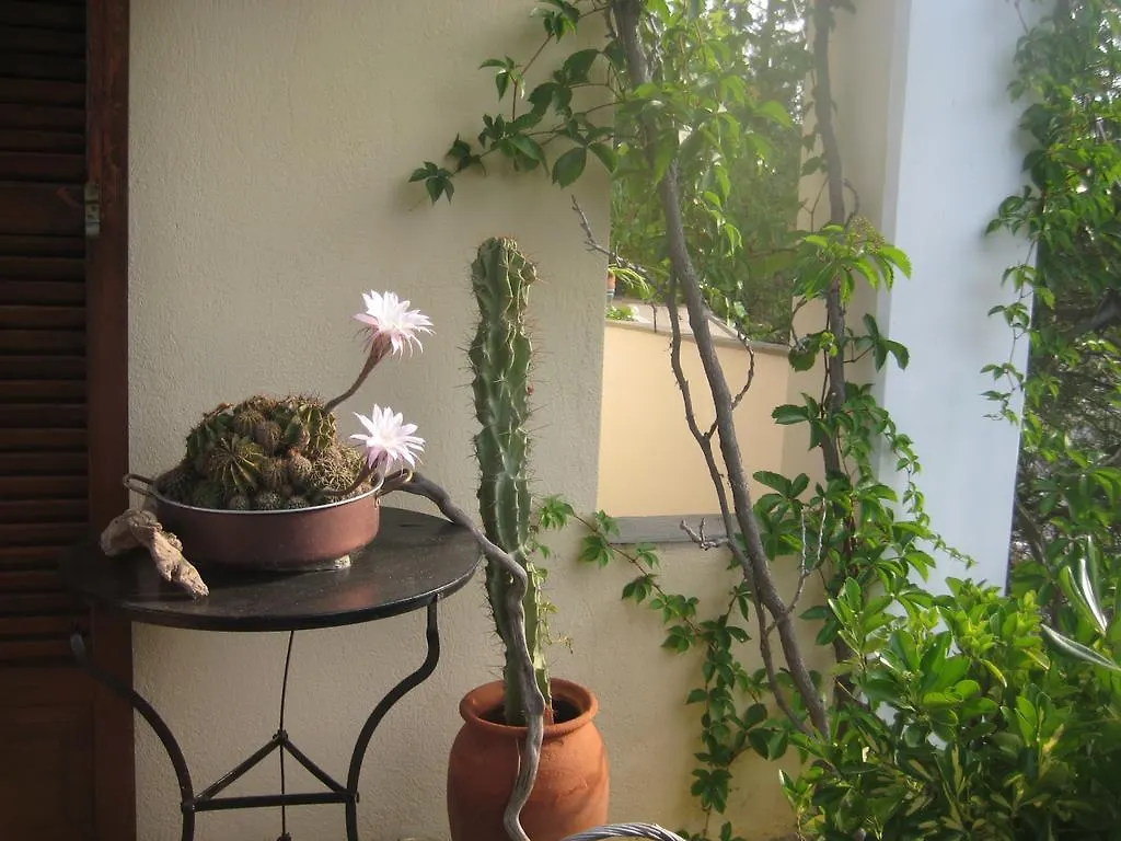 House Antaya Villa Nikiti